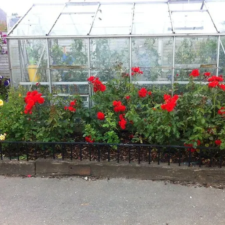 Hillview Self Catering * Lusk