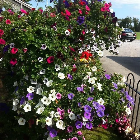 Hillview Self Catering