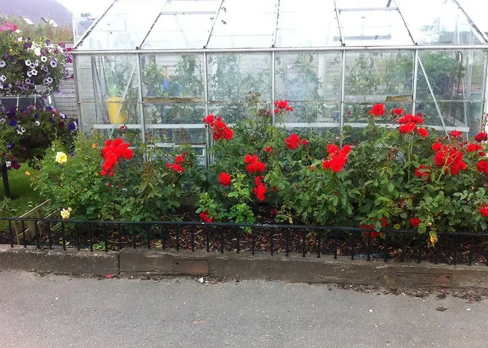 Hillview Self Catering * Lusk